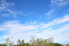 青空,空,晴,雲,お天気,空/天気,空/雲