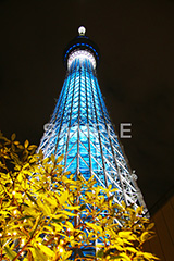 スカイツリー,東京スカイツリー,TOKYO SKYTREE,墨田区,押上,電波塔,634,634メートル,634m,塔,夜,ライトアップ,粋,ブルー,青,真下,見上げ,tower,japan,タワー