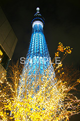 スカイツリー,東京スカイツリー,TOKYO SKYTREE,墨田区,押上,電波塔,634,634メートル,634m,塔,夜,ライトアップ,粋,ブルー,青,不思議,おもしろ写真,面白写真,2本,２本,映イルミネーション,イルミ,真下,見上げ,tower,japan,タワー