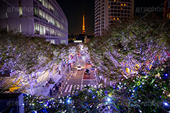 けやき坂イルミネーション,けやきざか,けやき坂,イルミネーション,イルミ,六本木,ヒルズ,Roppongi Hills,夜景,ライトアップ,キラキラ,夜,LED,冬,ロマンチック,japan,東京タワー,タワー,港区,観光名所,坂,並木,朝日テレビ,テレビ局,フルサイズ撮影