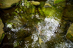 川の流れ,川,川原,河原,流れ,かわ,自然,水面,波紋,水,透,テクスチャ,テクスチャ―,自然,水系,texture,bubble,water,river