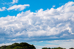 入道雲,雨雲,ゲリラ豪雨,豪雨,空,雲,積乱雲,青空,お天気,空/天気,空/雲,夏,サマー,自然,summer,sky,natural