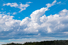 入道雲,雨雲,ゲリラ豪雨,豪雨,空,雲,積乱雲,青空,お天気,空/天気,空/雲,夏,サマー,自然,summer,sky,natural