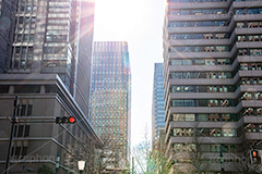 丸の内ビル群,東京,東京駅,丸の内,逆光,ビル,ビル群,ビジネス街,オフィスビル,Tokyo Station City,tokyo,building,office,フルサイズ撮影