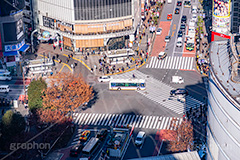 渋谷スクランブル交差点,渋谷,しぶや,ハチ公,観光,交差点,渋谷駅,駅前,スクランブル,道玄坂,横断歩道,信号,shibuya,japan