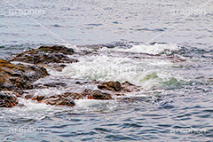 海岸,岩肌,波打ち際,水面,海面,波,泡,あわ,海,sea