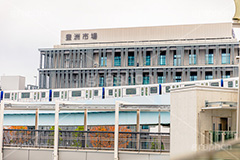 豊洲市場,市場,取引,公設,卸売市場,東京都,江東区,豊洲,競り,魚介,物販,飲食,小売,観光,ゆりかもめ,市場前駅,フルサイズ撮影