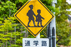 通学路,通学,登校,下校,学校,保育園,幼稚園,子供,こども,生徒,園児,道路,交通,標識,標示,道,看板,注意,警戒,ルール,rule,stop,road,フルサイズ撮影