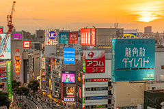 夕暮れの渋谷,夕暮れ,夕日,夕焼け,夕方,渋谷の雑踏,渋谷,しぶや,看板,広告,観光,渋谷駅,駅前,japan,shibuya,sunset