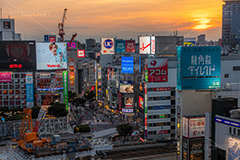 夕暮れの渋谷,夕暮れ,夕日,夕焼け,夕方,渋谷の雑踏,渋谷スクランブル交差点,渋谷,しぶや,看板,広告,観光,交差点,渋谷駅,駅前,スクランブル,横断歩道,信号,japan,shibuya,sunset