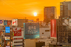 夕暮れの渋谷,夕暮れ,夕日,夕焼け,夕方,渋谷の雑踏,渋谷,しぶや,看板,広告,観光,渋谷駅,駅前,japan,shibuya,sunset