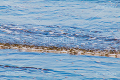 波打ち際,水面,海面,波,砂浜,泡,あわ,海,sea