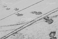 雪の足跡,道路に積もる雪,雪,ゆき,積,足跡,跡,冬,道路,アスファルト,滑る,積雪,snow,winter,フルサイズ撮影