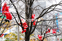 ハチ公前クリスマスデコレーション,渋谷,しぶや,ハチ公前,クリスマスオーナメント,クリスマス,CHRISTMAS,Xmas,飾り,デコレーション,イベント,おもちゃ,shibuya,冬,装飾,ornament,Santa,サンタ,サンタクロース,登る,上る,イルミネーション,行事