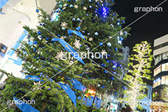 PARCOクリスマスツリー,イルミネーション,イルミ,illumination,電飾,電球,発光ダイオード,LED,冬,キラキラ,綺麗,きれい,キレイ,煌,輝,スポット,都内,渋谷,PARCO,パルコ,真っ青,イベント,shibuya,行事