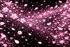 光る花吹雪,花吹雪,桜,さくら,サクラ,はなびら,花弁,花びら,光る,エフェクト,テクスチャ,テクスチャー,舞う,夜桜,花見,散る,光彩,effect,texture,blossoms,AI生成素材