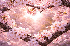 桜のハート,ハート,ラブ,告白,恋愛,恋,愛,芝生,公園,桜の花びら,さくら,桜,花,フラワー,春,花びら,花弁,満開,咲く,プリ画,ロマンチック,ウェディング,プロポーズ,バレンタイン,ホワイトデー,ポエム,ピンク,blossom,japan,spring,flower,love,heart,AI生成素材