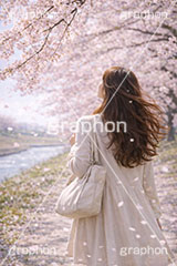 お花見さんぽ,散歩,さんぽ,女性,女子,人物,満開,桜,さくら,サクラ,花見,ブロッサム,春,花,花びら,花弁,背景,blossom,spring,flower,AI生成素材