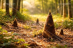 たけのこ狩り,たけのこ掘り,タケノコ狩り,たけのこ,タケノコ,竹の子,筍,茎,旬,春,スプリング,竹林,竹,山,spring,AI生成素材