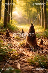 たけのこ狩り,たけのこ掘り,タケノコ狩り,たけのこ,タケノコ,竹の子,筍,茎,旬,春,スプリング,竹林,竹,山,spring,AI生成素材