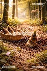 たけのこ狩り,たけのこ掘り,タケノコ狩り,たけのこ,タケノコ,竹の子,筍,かご,カゴ,籠,茎,旬,春,スプリング,竹林,竹,山,spring,AI生成素材