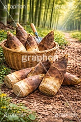 たけのこ狩り,たけのこ掘り,タケノコ狩り,たけのこ,タケノコ,竹の子,筍,かご,カゴ,籠,茎,旬,春,スプリング,竹林,竹,山,スコップ,シャベル,spring,AI生成素材