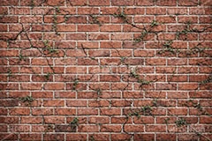 荒れたレンガ,荒れ,雑草,荒廃,廃墟,赤レンガ,レンガ,れんが,塀,壁,テクスチャ,テクスチャ―,汚,荒,石系,マテリアル,bricks,texture,material,AI生成素材