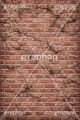 荒れたレンガ,荒れ,雑草,荒廃,廃墟,赤レンガ,レンガ,れんが,塀,壁,テクスチャ,テクスチャ―,汚,荒,石系,マテリアル,bricks,texture,material,AI生成素材