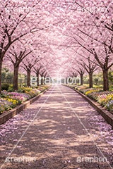 桜並木,満開,桜,さくら,サクラ,トンネル,花見,ブロッサム,春,花,花びら,花弁,背景,blossom,spring,flower,AI生成素材