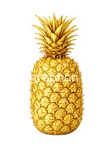金のパイナップル,パイナップル,パインアップル,パイン,金のフルーツ,リッチ,ゴールド,高級,高価,キラキラ,ラメ,セレブ,面白い,おもしろ,rich,gold,fruit,pineapple,AI生成素材