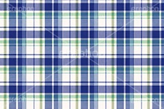 マドラスチェック,格子模様,チェック柄,模様,もよう,柄,がら,チェック,テクスチャ,テクスチャ―,パターン,マテリアル,texture,pattern,plaid,texture,material,AI生成素材