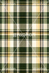 マドラスチェック,格子模様,チェック柄,模様,もよう,柄,がら,チェック,テクスチャ,テクスチャ―,パターン,マテリアル,texture,pattern,plaid,texture,material,AI生成素材