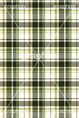 マドラスチェック,格子模様,チェック柄,模様,もよう,柄,がら,チェック,テクスチャ,テクスチャ―,パターン,マテリアル,texture,pattern,plaid,texture,material,AI生成素材