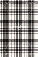 マドラスチェック,格子模様,チェック柄,模様,もよう,柄,がら,チェック,テクスチャ,テクスチャ―,パターン,マテリアル,texture,pattern,plaid,texture,material,AI生成素材