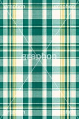 マドラスチェック,格子模様,チェック柄,模様,もよう,柄,がら,チェック,テクスチャ,テクスチャ―,パターン,マテリアル,texture,pattern,plaid,texture,material,AI生成素材