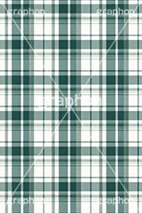 マドラスチェック,格子模様,チェック柄,模様,もよう,柄,がら,チェック,テクスチャ,テクスチャ―,パターン,マテリアル,texture,pattern,plaid,texture,material,AI生成素材