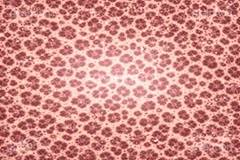 ヒョウ柄-アニマルシリーズ,ヒョウ柄,アニマルシリーズ,テクスチャ,テクスチャ―,アニマル柄,豹柄,模様,もよう,柄,がら,ギャル,平成リバイバル,カワイイ,可愛い,かわいい,gal,animal,texture,AI生成素材