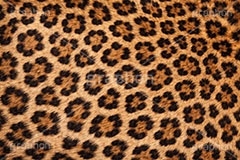 ヒョウ柄-アニマルシリーズ,ヒョウ柄,アニマルシリーズ,テクスチャ,テクスチャ―,アニマル柄,豹柄,模様,もよう,柄,がら,ギャル,平成リバイバル,カワイイ,可愛い,かわいい,gal,animal,texture,AI生成素材