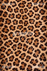 ヒョウ柄-アニマルシリーズ,ヒョウ柄,アニマルシリーズ,テクスチャ,テクスチャ―,アニマル柄,豹柄,模様,もよう,柄,がら,ギャル,平成リバイバル,カワイイ,可愛い,かわいい,gal,animal,texture,AI生成素材