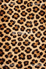 ヒョウ柄-アニマルシリーズ,ヒョウ柄,アニマルシリーズ,テクスチャ,テクスチャ―,アニマル柄,豹柄,模様,もよう,柄,がら,ギャル,平成リバイバル,カワイイ,可愛い,かわいい,gal,animal,texture,AI生成素材