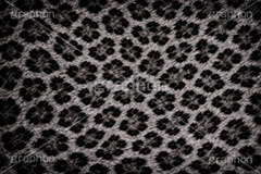 ヒョウ柄-アニマルシリーズ,ヒョウ柄,アニマルシリーズ,テクスチャ,テクスチャ―,アニマル柄,豹柄,模様,もよう,柄,がら,ギャル,平成リバイバル,カワイイ,可愛い,かわいい,gal,animal,texture,AI生成素材
