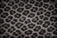 ヒョウ柄-アニマルシリーズ,ヒョウ柄,アニマルシリーズ,テクスチャ,テクスチャ―,アニマル柄,豹柄,模様,もよう,柄,がら,ギャル,平成リバイバル,カワイイ,可愛い,かわいい,gal,animal,texture,AI生成素材