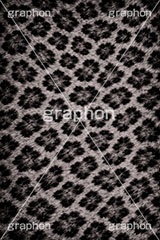 ヒョウ柄-アニマルシリーズ,ヒョウ柄,アニマルシリーズ,テクスチャ,テクスチャ―,アニマル柄,豹柄,模様,もよう,柄,がら,ギャル,平成リバイバル,カワイイ,可愛い,かわいい,gal,animal,texture,AI生成素材