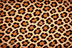 ヒョウ柄-アニマルシリーズ,ヒョウ柄,アニマルシリーズ,テクスチャ,テクスチャ―,アニマル柄,豹柄,模様,もよう,柄,がら,ギャル,平成リバイバル,カワイイ,可愛い,かわいい,gal,animal,texture,AI生成素材