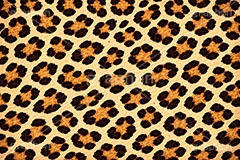 ヒョウ柄-アニマルシリーズ,ヒョウ柄,アニマルシリーズ,テクスチャ,テクスチャ―,アニマル柄,豹柄,模様,もよう,柄,がら,ギャル,平成リバイバル,カワイイ,可愛い,かわいい,gal,animal,texture,AI生成素材