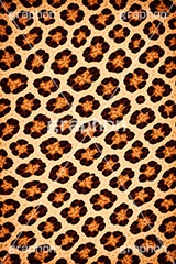 ヒョウ柄-アニマルシリーズ,ヒョウ柄,アニマルシリーズ,テクスチャ,テクスチャ―,アニマル柄,豹柄,模様,もよう,柄,がら,ギャル,平成リバイバル,カワイイ,可愛い,かわいい,gal,animal,texture,AI生成素材