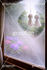 てるてる坊主,窓,水滴,天気,梅雨,つゆ,あじさい,アジサイ,紫陽花,軒先,曇る,湿気,雨粒,イベント,行事,6月,願い,手作り,手づくり,吊る,雨,晴れ,風習,人形,こども,子供,キッズ,kids,weather,rain,japan,june,window,AI生成素材