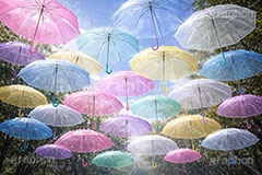 カラフルな傘,梅雨,晴れ,天気,雨,傘,ビニール傘,使い捨て,つゆ,雨粒,6月,吊る,浮く,飛ぶ,舞う,weather,rain,june,umbrella,AI生成素材