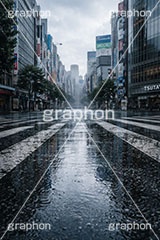 雨の日の交差点,アスファルト,水たまり,梅雨,都会,無人,交差点,横断歩道,道路,雨の日,雨,水溜まり,rain,asphalt,AI生成素材