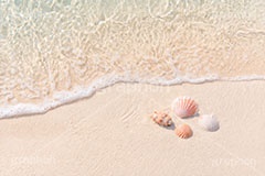 砂浜と貝殻,波打ち際,風物詩,砂浜,貝殻,海,貝,夏休み,波,自然,夏,ポエム,sea,summer,AI生成素材
